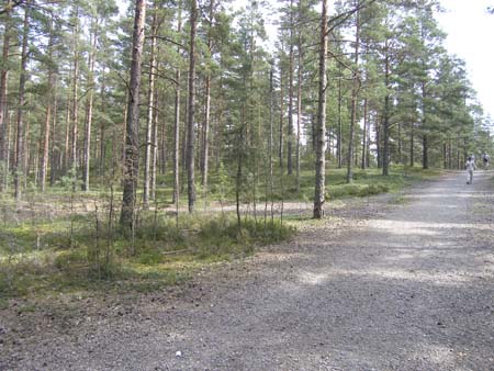 p8053405