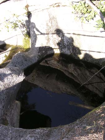 p8053436