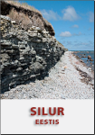 Silur